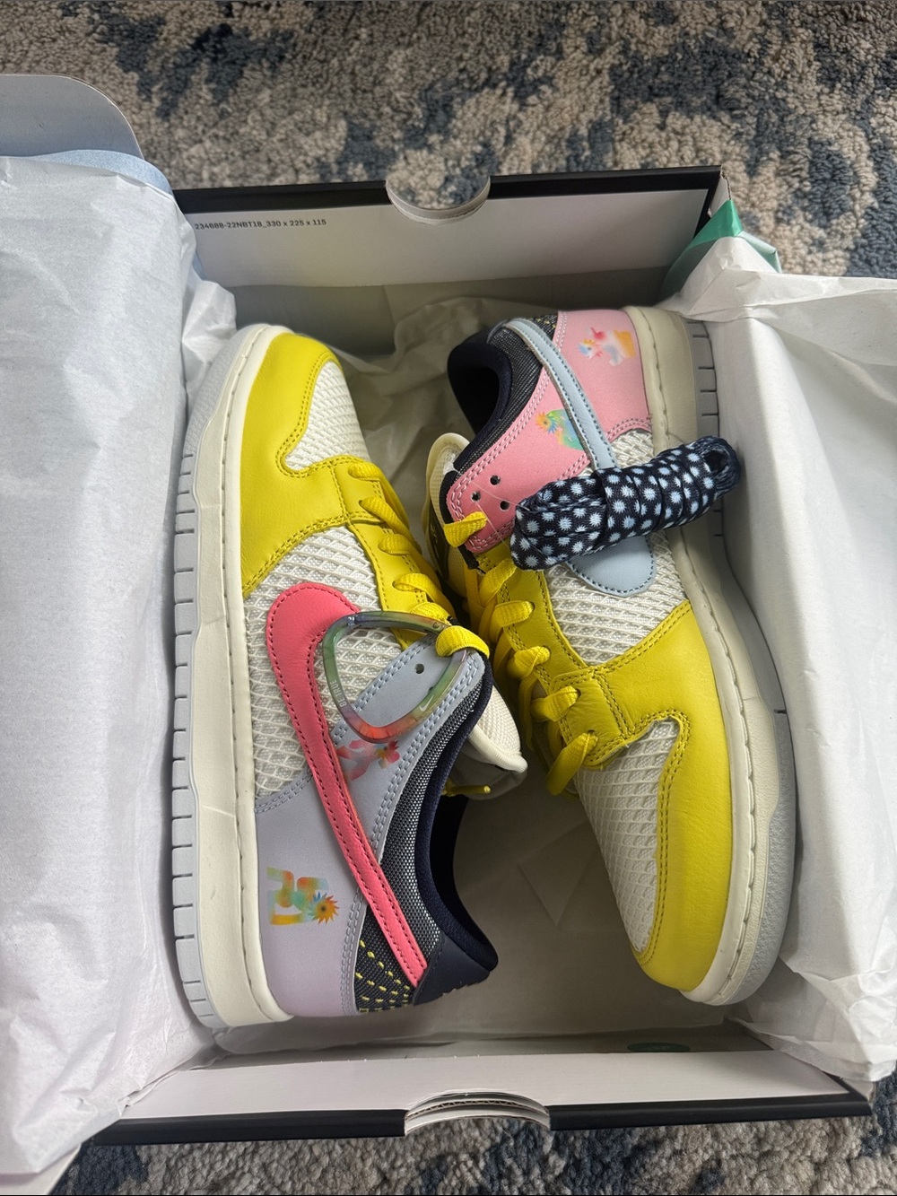 Men’s Nike9 SB DUNK LOW PRO BT (be true pride shoe)